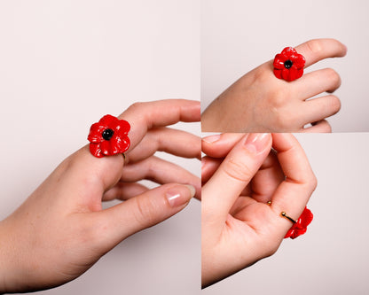 Conjunto metamorfosis Amapola